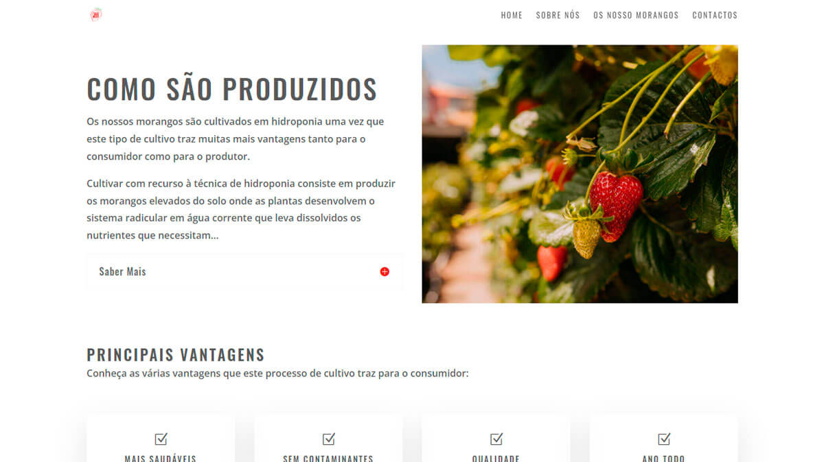 template-imagens-portfolio-agro-7m-1200x675-1