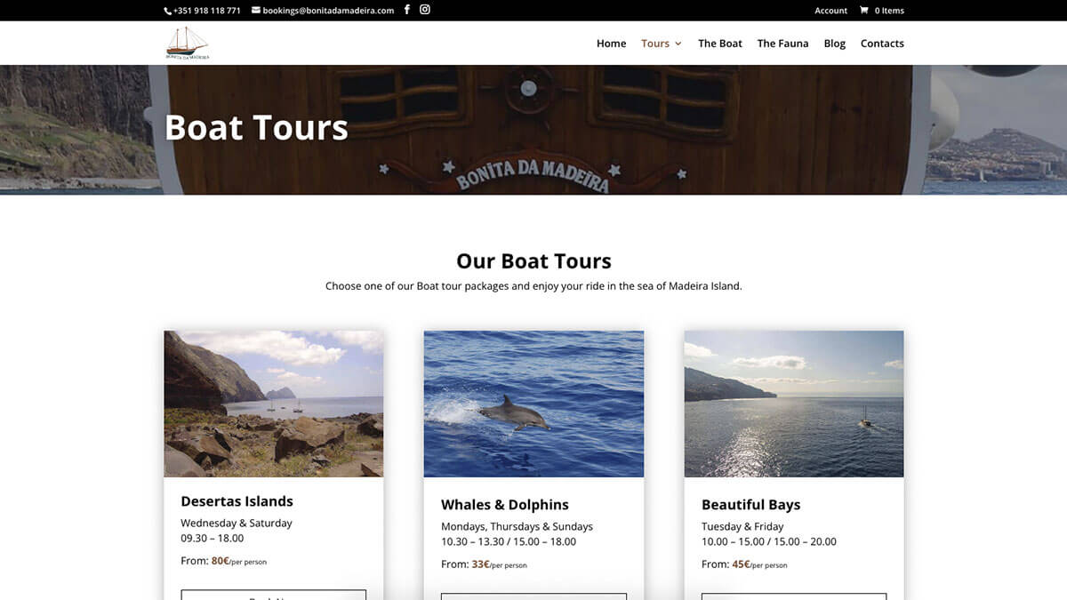 Website Mini Madeira Motores